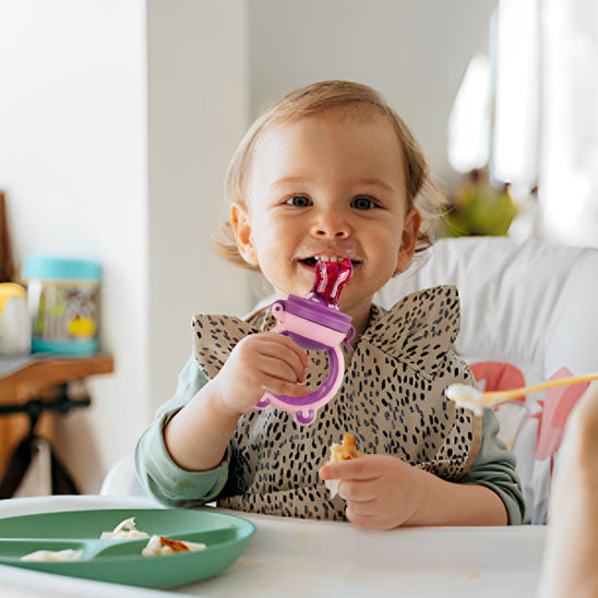 Grignoteuse bébé "GrignoSaveur" régale