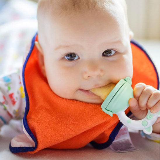 Grignoteuse bebe | bébébliss™